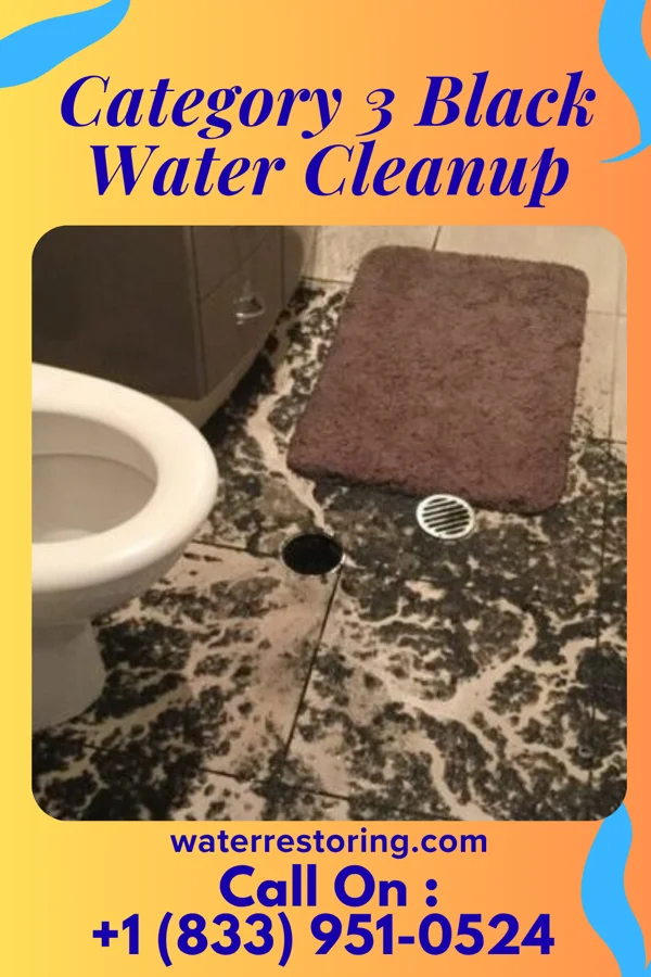 Category 3 Black Water Cleanup in Gloucester, MA