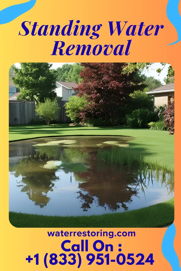 Standing Water Removal in Gloucester, MA